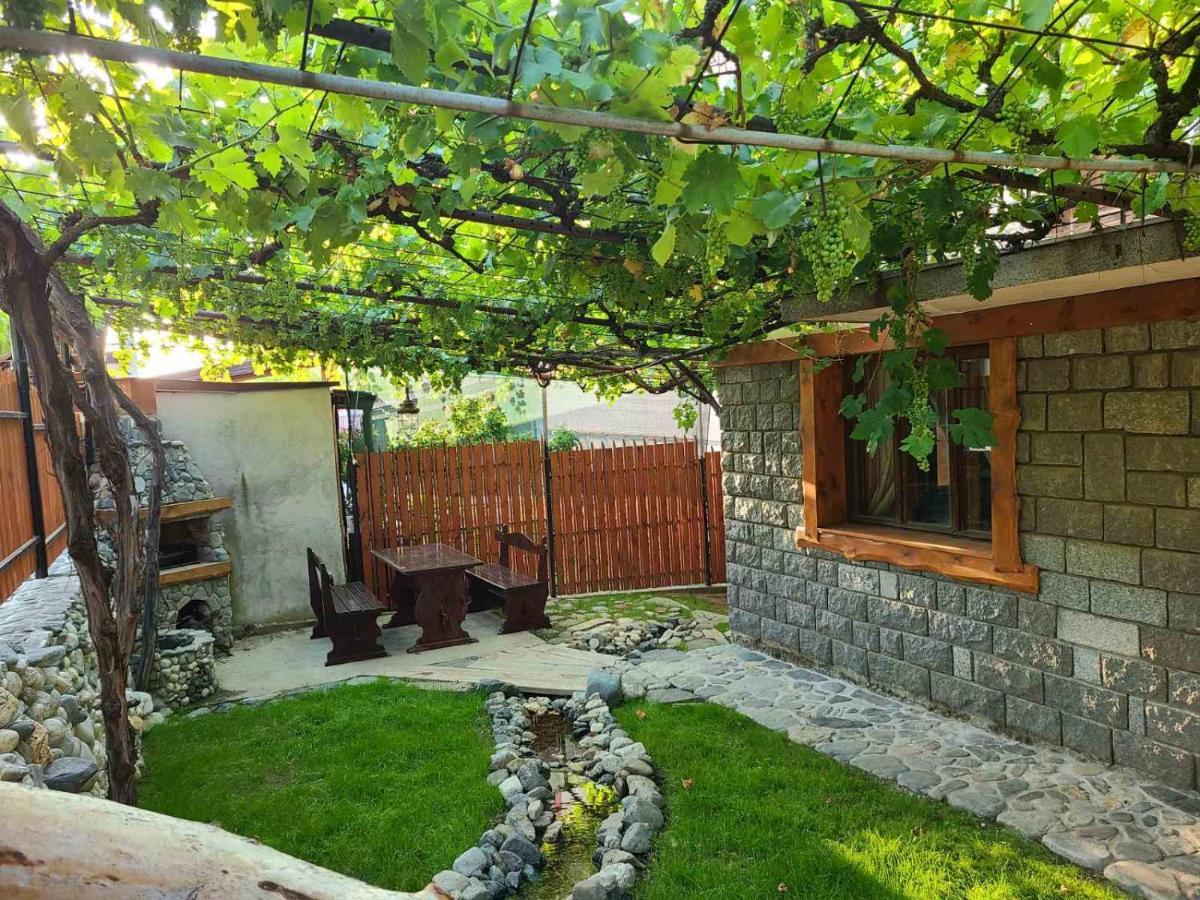 Вила 111 Szapareva Banja Kültér fotó
