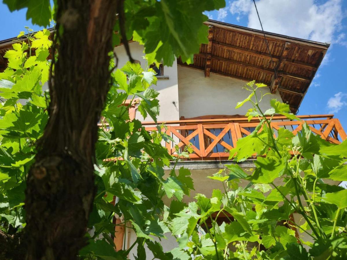 Вила 111 Szapareva Banja Kültér fotó