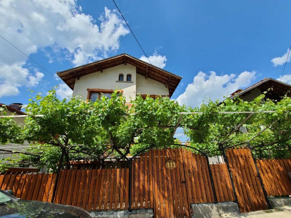 Вила 111 Szapareva Banja Kültér fotó
